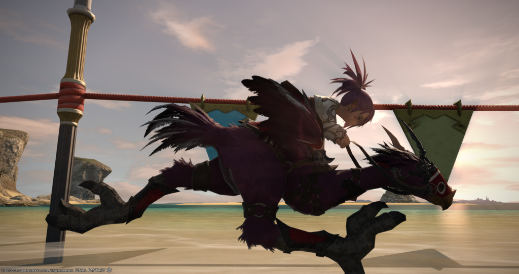 FFXIV Screenshot