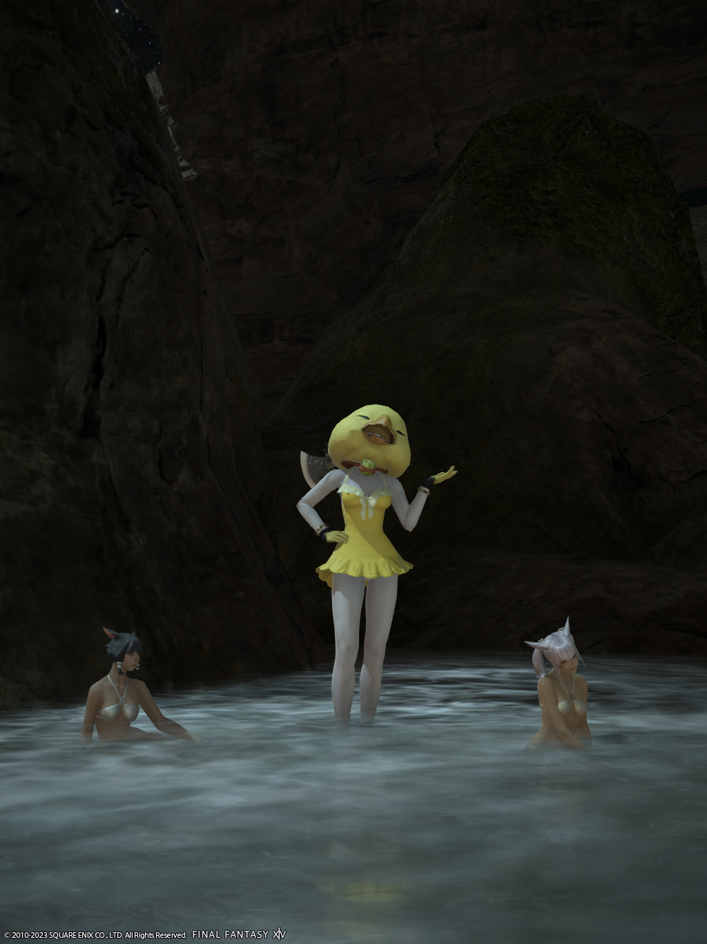 An image of a character from FFXIV. She is wearing a yellow bathing suit and a fat chocobo head and standing in front of a waterfall, flanked by two miqote in bathing suits.