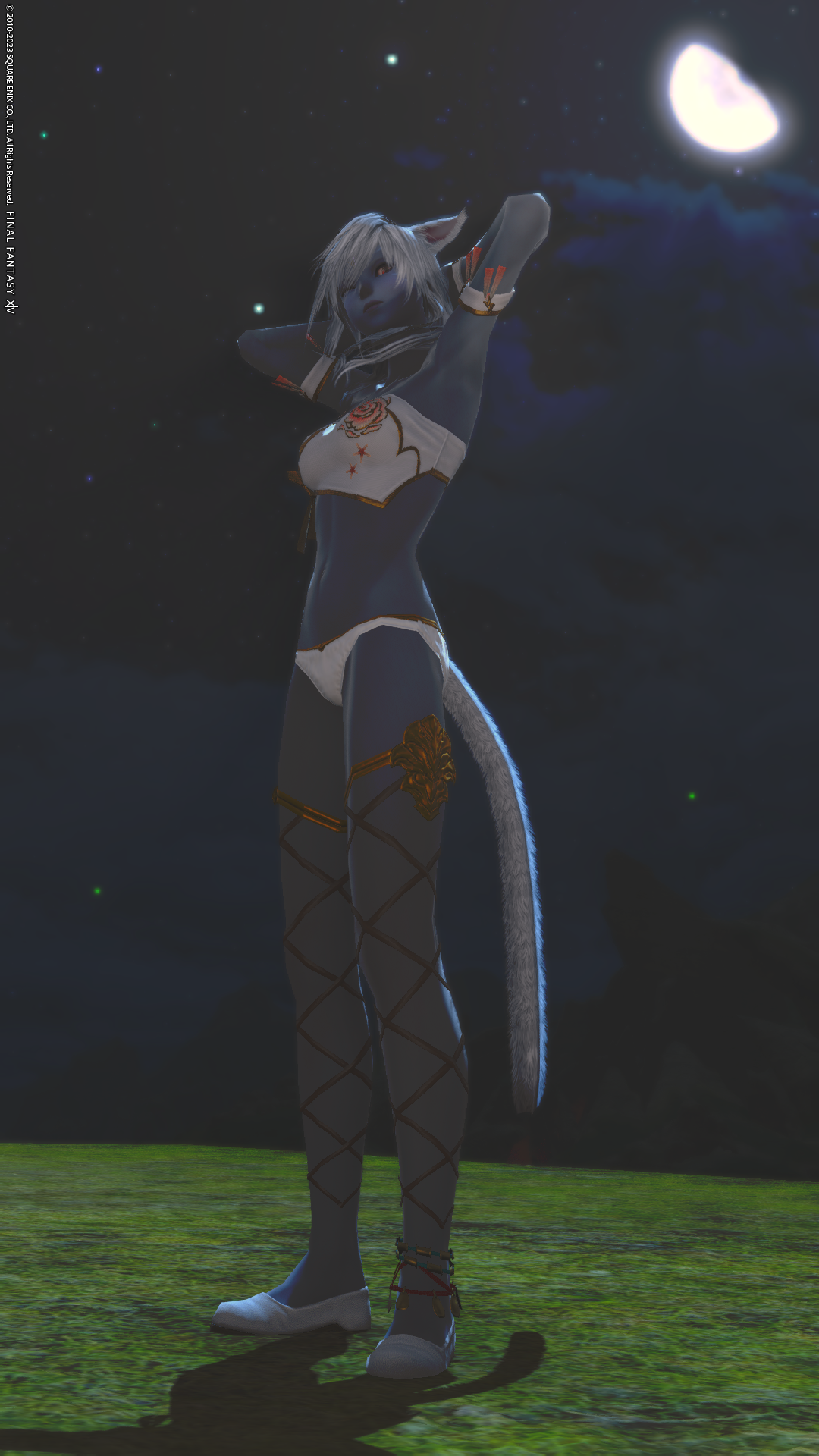 An image of a Miqote from FFXIV. She is wearing a bathing suit and standing in the moon light.