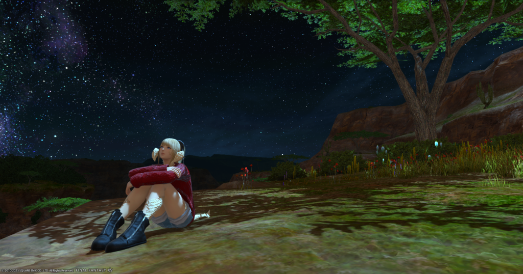 An FFXIV screenshot. An Au Ra is staring at the stars.