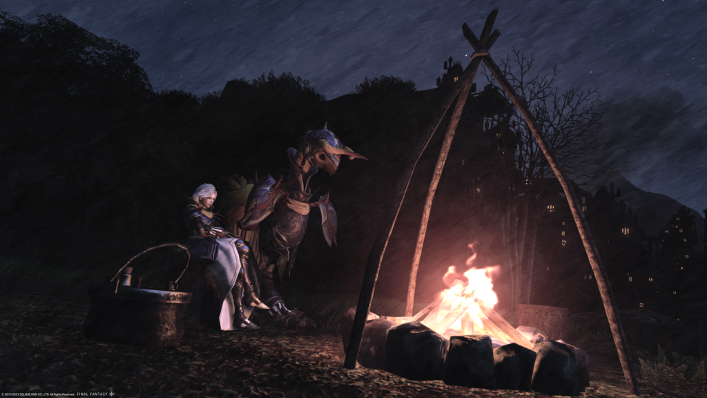 An FFXIV screenshot. A Hyur is sitting next to her chocobo, at night, in front of a campfire.